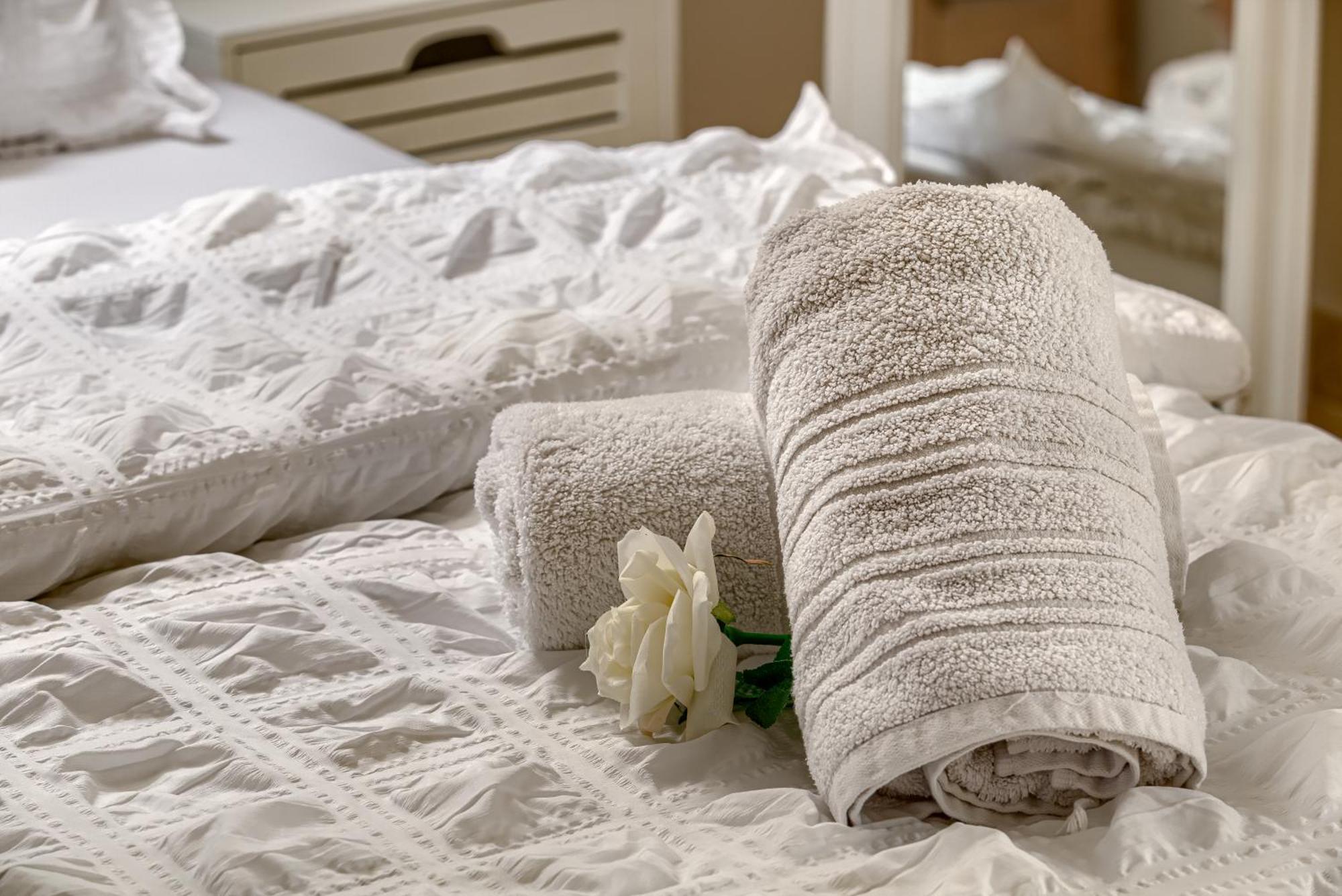 Sika Palladium Garden & Spa Central Apartment Arad Bagian luar foto
