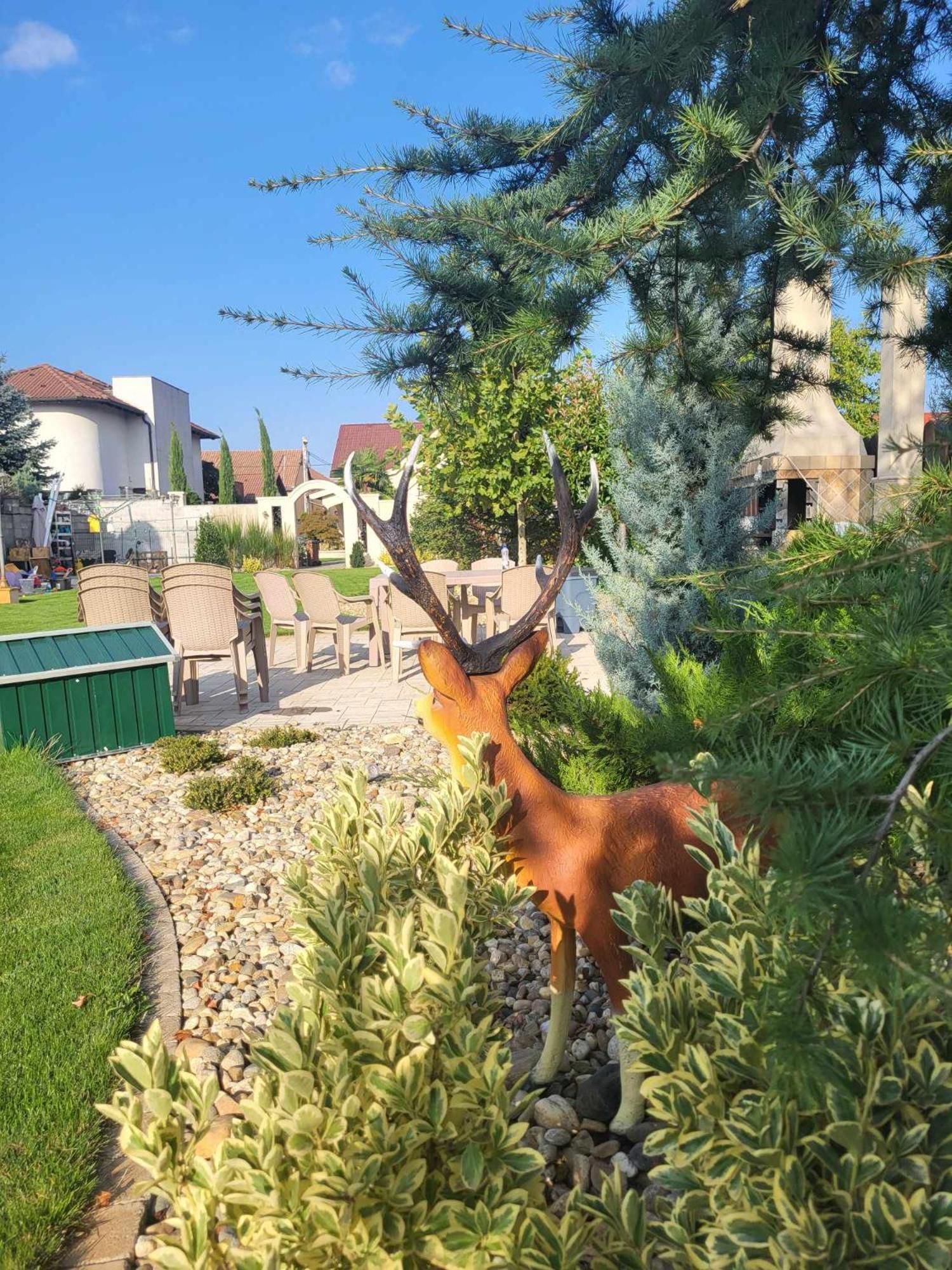 Sika Palladium Garden & Spa Central Apartment Arad Bagian luar foto